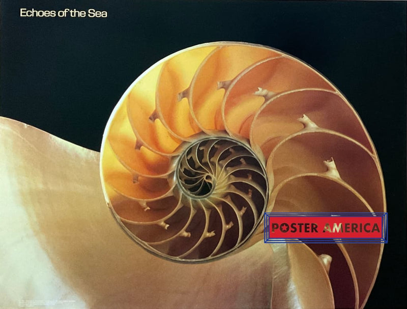 Load image into Gallery viewer, Zzz - 020 Posters Prints &amp; Visual Artwork
