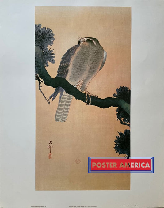 Falcon On Branch By Koson Japanese Vintage Fine Art Print 22.5 X 28 Poster