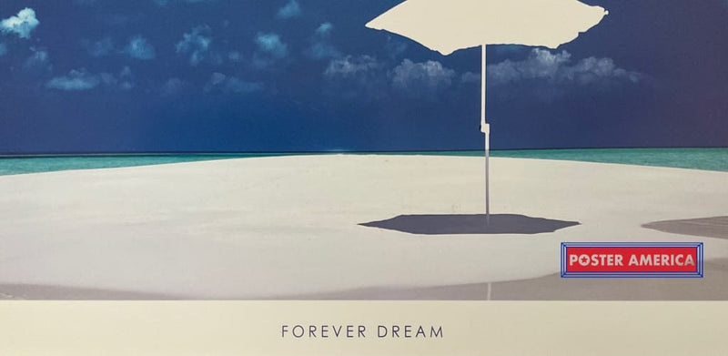 Load image into Gallery viewer, Forever Dream Scenic Poster 12 X 36 Posters Prints &amp; Visual Artwork
