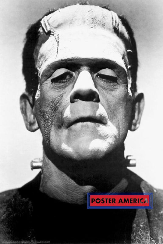 Frankenstein Poster 24 X 36