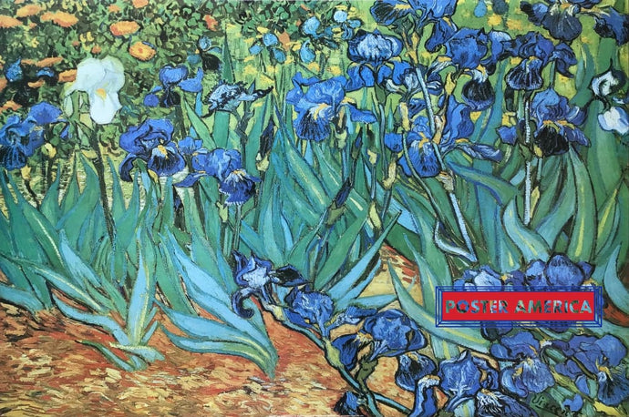 Garden Of Irises By Vincent Van Gogh Art Poster 24 X 36 Posters Prints & Visual Artwork