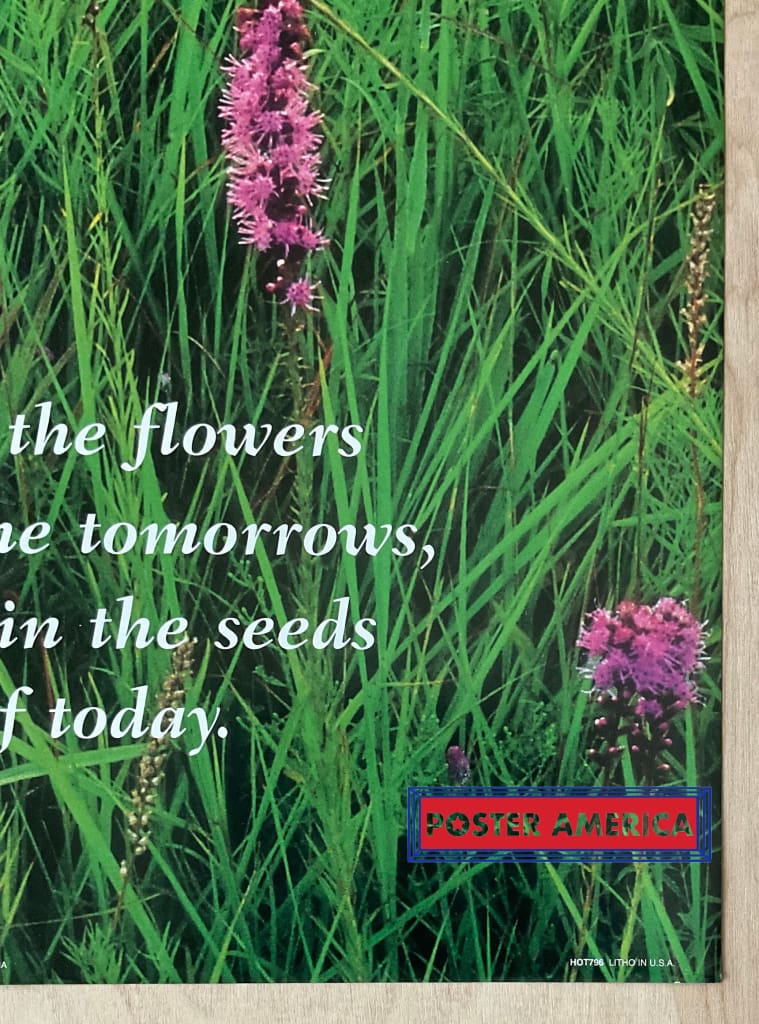Load image into Gallery viewer, Gayfeather Blazing Star Vintage 1997 Scenic Landscape Slim Print 12 X 36

