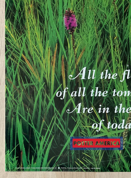 Gayfeather Blazing Star Vintage 1997 Scenic Landscape Slim Print 12 X 36