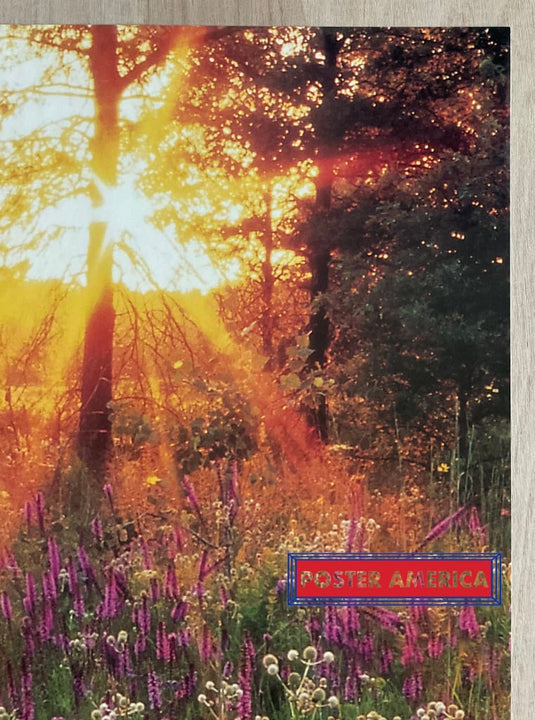 Gayfeather Blazing Star Vintage 1997 Scenic Landscape Slim Print 12 X 36