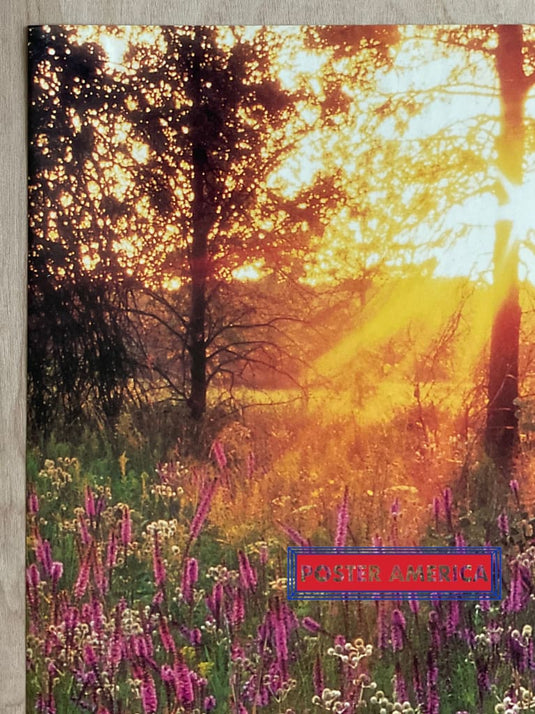 Gayfeather Blazing Star Vintage 1997 Scenic Landscape Slim Print 12 X 36
