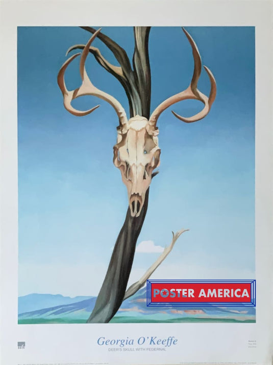 Georgia Okeeffe Deers Skull With Pedernal Vintage 2000 Poster Print 23.5 X 31.5 Art