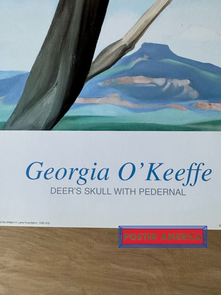 Load image into Gallery viewer, Georgia Okeeffe Deers Skull With Pedernal Vintage 2000 Poster Print 23.5 X 31.5 Art
