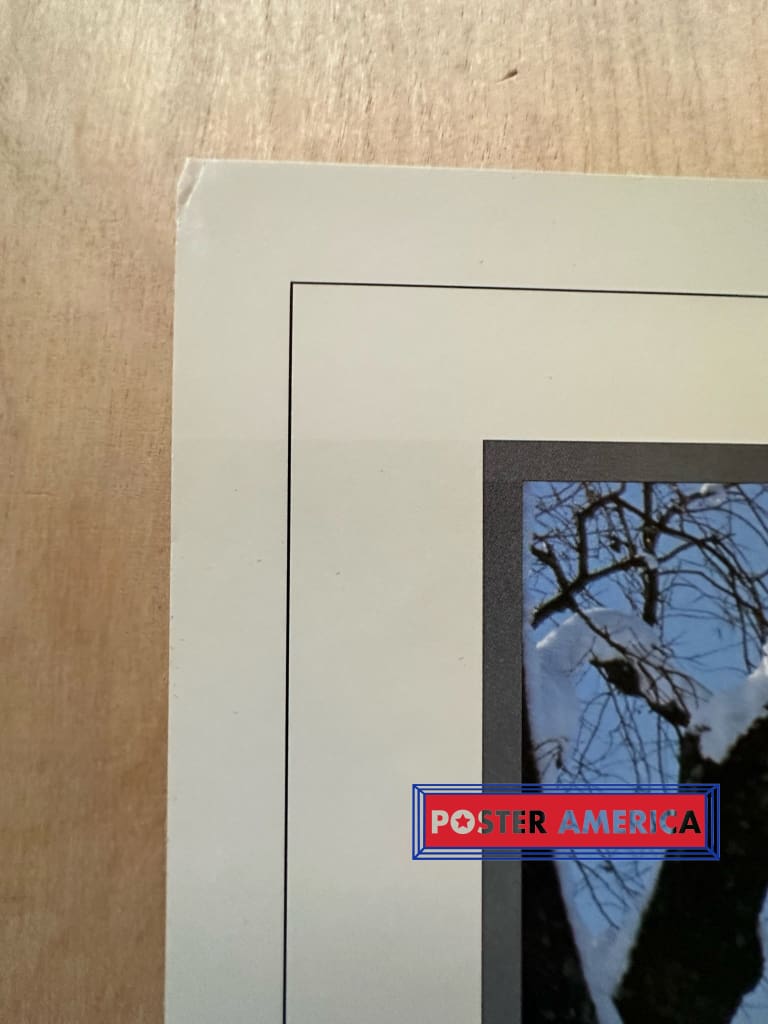 Load image into Gallery viewer, Germany In Wintertime Vintage Photography Poster By Ric Ergenbright 19 X 25
