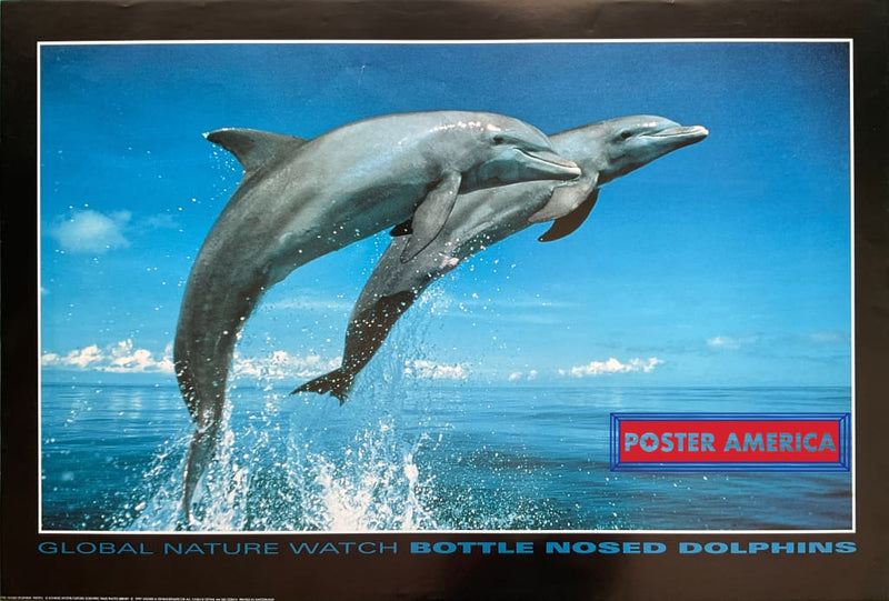 Load image into Gallery viewer, Global Nature Watch Bottle Nosed Dolphins Vintage 1997 Swiss Import Poster 23.5 X 35
