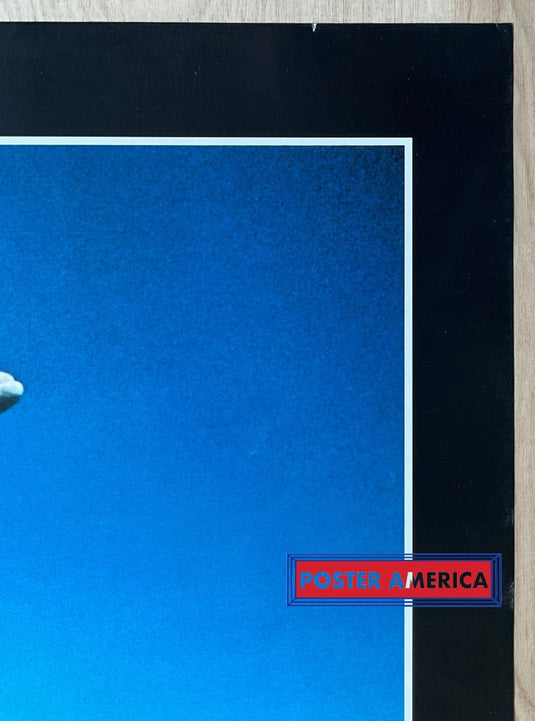 Global Nature Watch Bottle Nosed Dolphins Vintage 1997 Swiss Import Poster 23.5 X 35