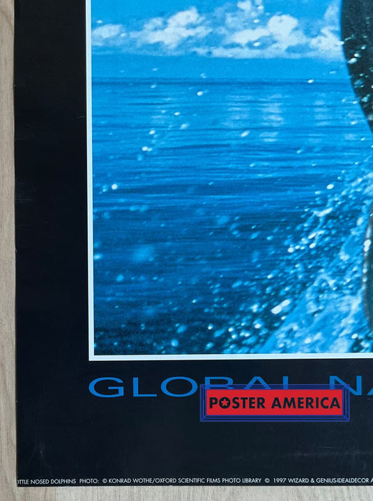 Global Nature Watch Bottle Nosed Dolphins Vintage 1997 Swiss Import Poster 23.5 X 35