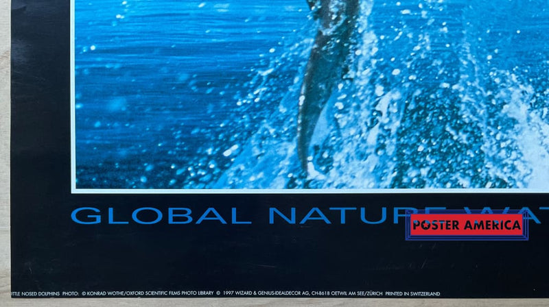 Load image into Gallery viewer, Global Nature Watch Bottle Nosed Dolphins Vintage 1997 Swiss Import Poster 23.5 X 35

