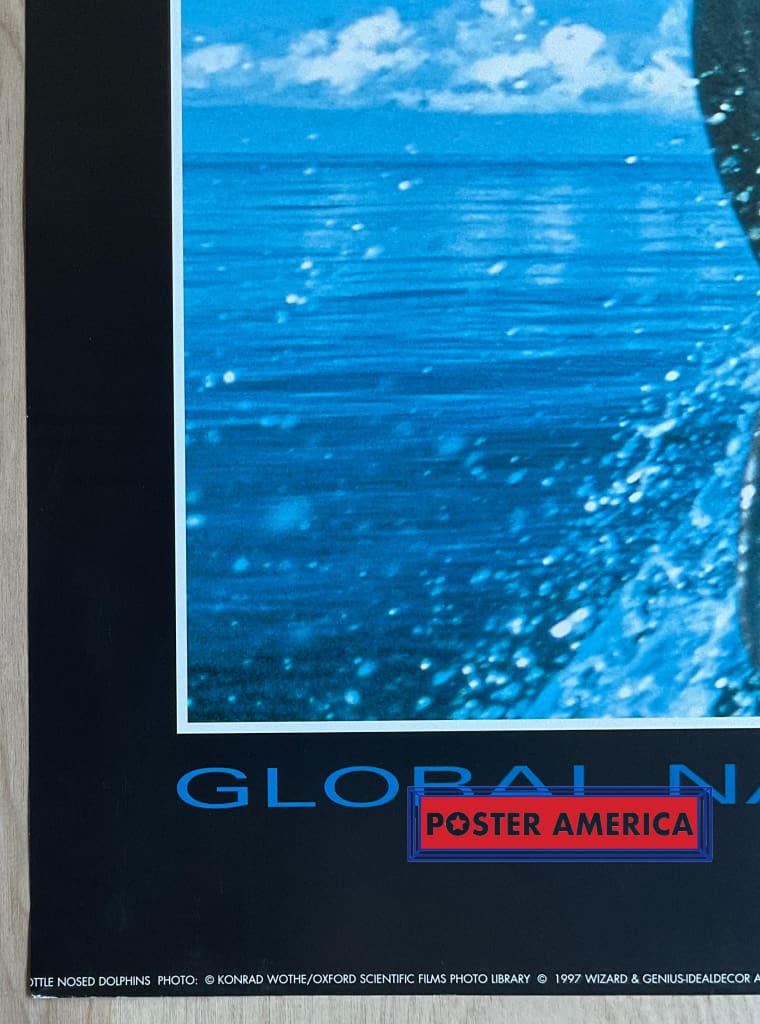 Load image into Gallery viewer, Global Nature Watch Bottle Nosed Dolphins Vintage 1997 Swiss Import Poster 23.5 X 35
