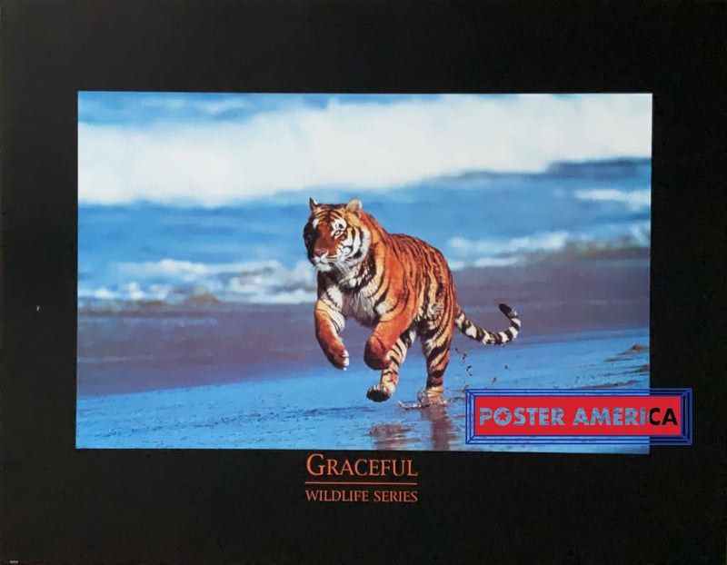 Load image into Gallery viewer, Graceful Tiger From The Wildlife Series Vintage 1996 Poster 22 X 28 Vintage Poster
