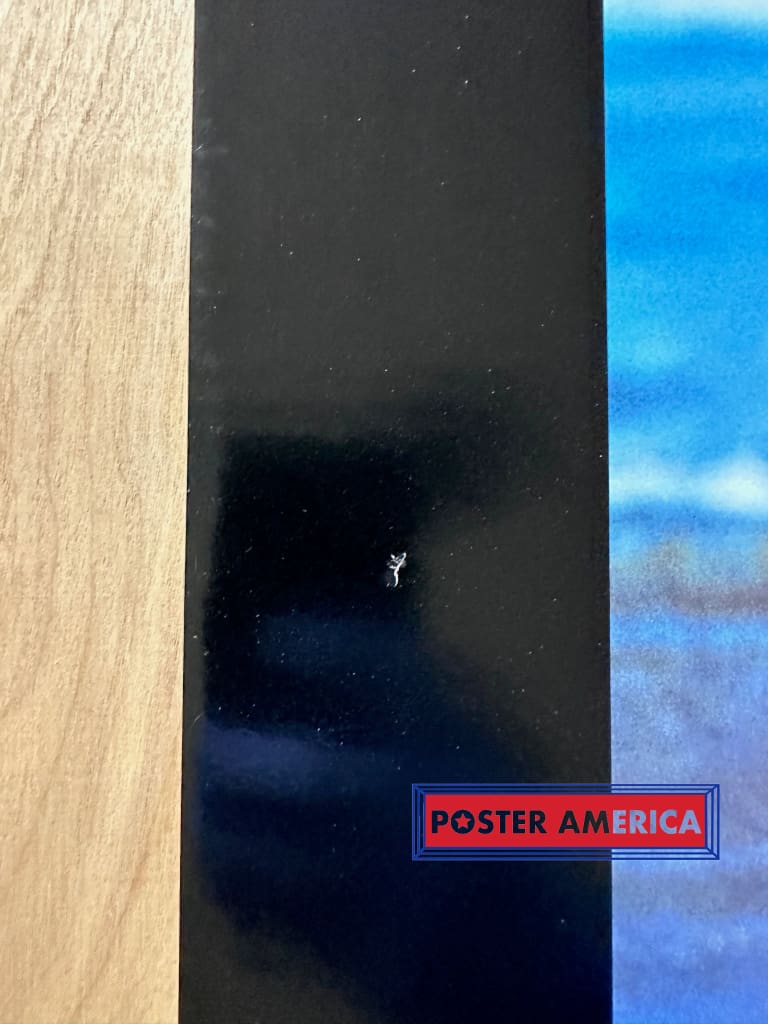 Load image into Gallery viewer, Graceful Tiger From The Wildlife Series Vintage 1996 Poster 22 X 28 Vintage Poster
