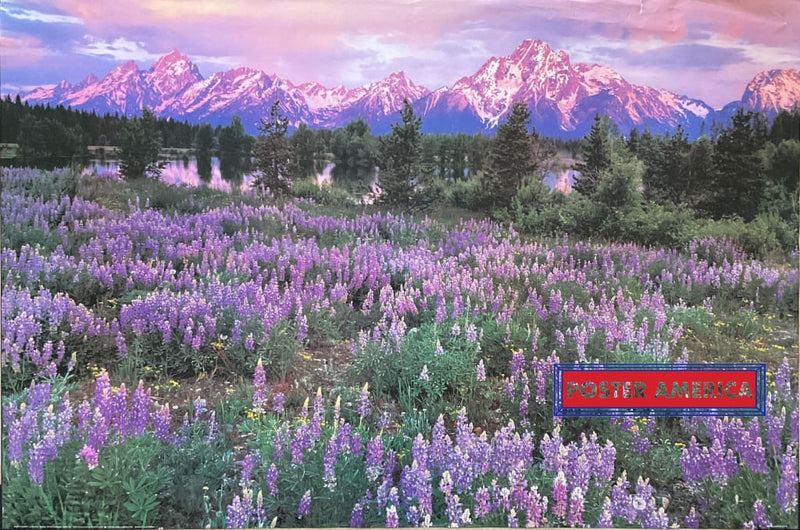 Load image into Gallery viewer, Grand Teton National Park Shot By Liz Austin Poster 24 X 36
