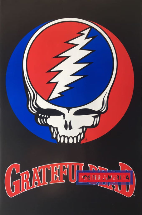 Grateful Dead 1976 Poster 22.5 X 33 Vintage Poster