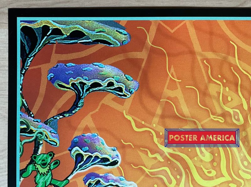 Load image into Gallery viewer, Grateful Dead Golden Road Artistic Rock Music Poster 24 X 36
