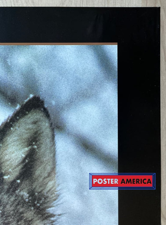 Gray Wolf Vintage 1994 Photography Poster 24 X 36