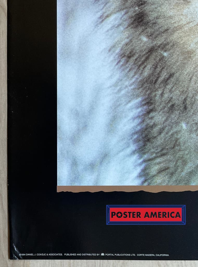 Load image into Gallery viewer, Gray Wolf Vintage 1994 Photography Poster 24 X 36

