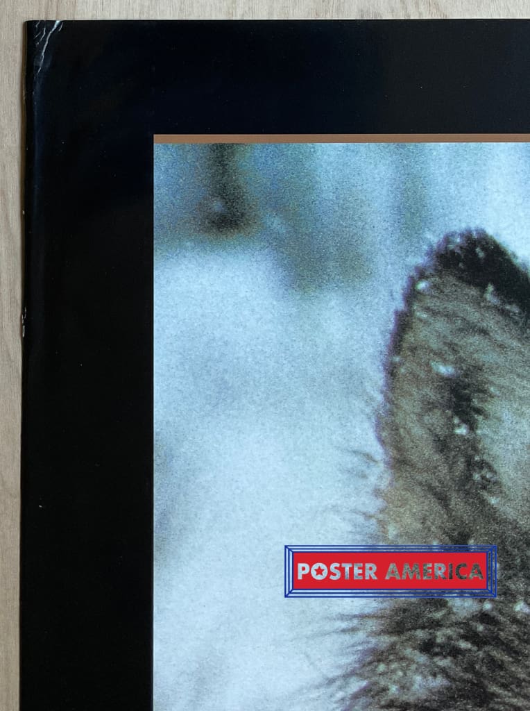 Load image into Gallery viewer, Gray Wolf Vintage 1994 Photography Poster 24 X 36
