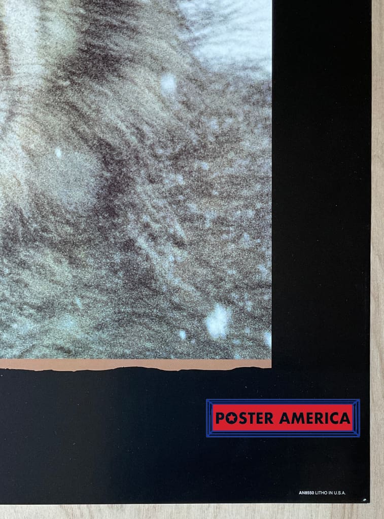 Load image into Gallery viewer, Gray Wolf Vintage 1994 Photography Poster 24 X 36
