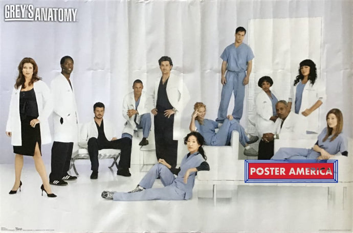 Greys Anatomy Cast In Costume Poster 22 X 34