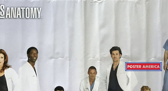 Greys Anatomy Cast In Costume Poster 22 X 34