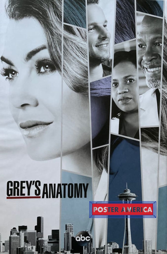Greys Anatomy Vintage Poster 24 X 36 Cast Members With Downtown Seattle Skyline