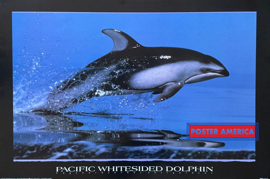 Guiding Light Orca Art By Anthony Casay Vintage 1993 Poster 24 X 30 Vintage Poster