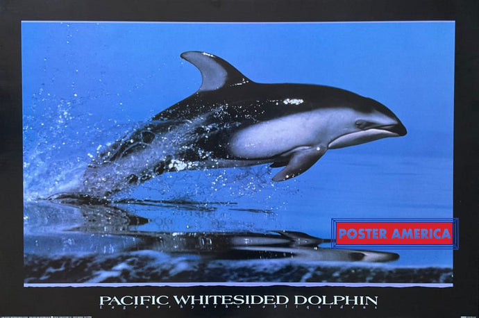 Guiding Light Orca Art By Anthony Casay Vintage 1993 Poster 24 X 30 Vintage Poster