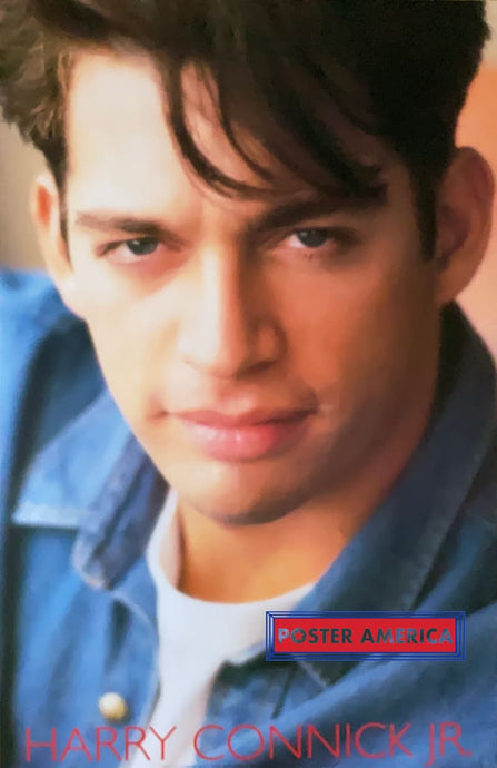 Harry Connick Jr. Portrait Shot Vintage 1991 Poster 22.5 X 34.5