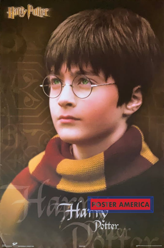 Harry Potter Movie Poster 22 X 33