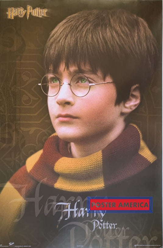 Harry Potter Movie Poster 22 X 33