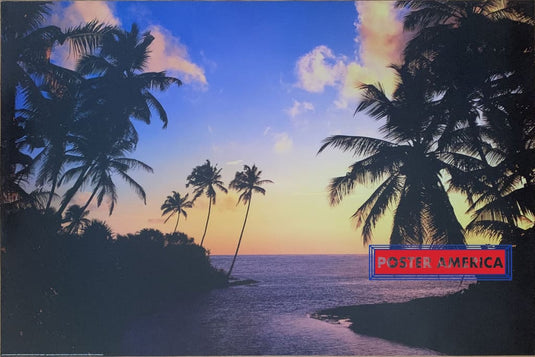 Hikkaduwa Beach Tropical Sunset Vintage Swiss Import Poster 2004 24 X 36  Bay Flowing Out Into Ocean With Palms And Gorgeous Sunset