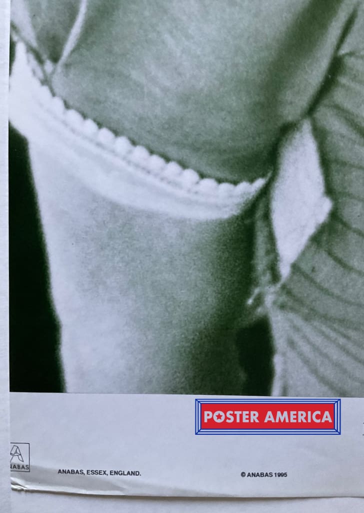 Load image into Gallery viewer, Hole Alternative Rock Band Vintage 1995 Portrait Group Shot 23.5 X 35 Poster
