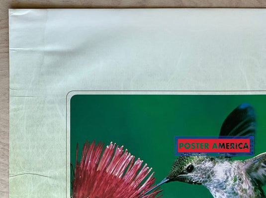 Hummingbirds The Wings Of The Garden Vintage Photography Slim Print 12 X 36