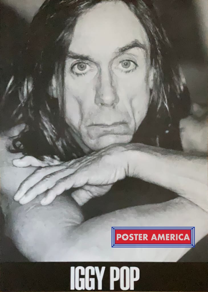 Load image into Gallery viewer, Iggy Pop The Godfather Of Punk Portrait Shot Poster 23.5 X 32.75

