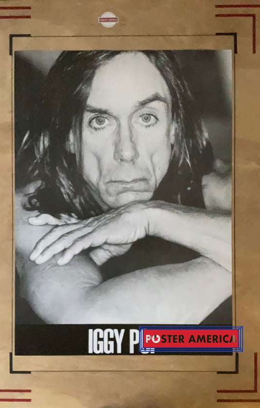 Iggy Pop The Godfather Of Punk Portrait Shot Poster 23.5 X 32.75