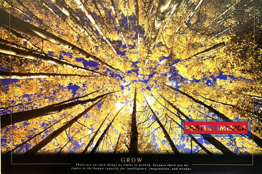 Inspirational Scenic Grow There Are No Such Things As Limits To Growth Poster 24 X 36