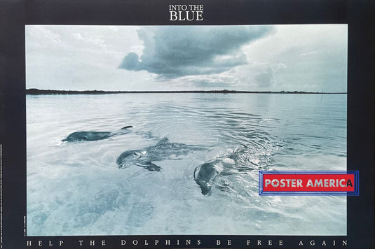 Into The Blue Bellerive Foundation For Dolphins Vintage 1992 Poster 24 X 36 Vintage Poster