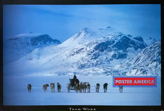 Inuit Hunter With Huskies Inspirational Team Work Poster 24 X 35