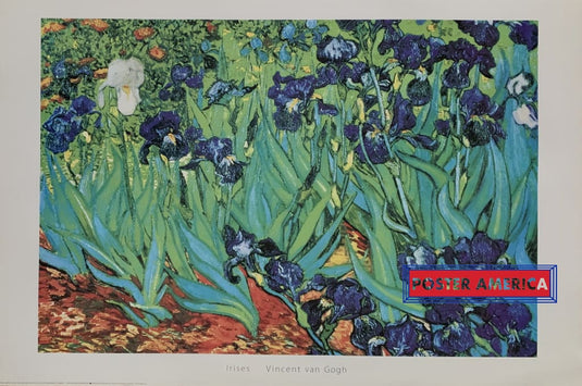 Irises Vincent Van Gogh Vintage 1989 Poster 24 X 36 Impressionist Artwork
