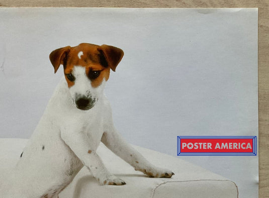 Jack Russell Terriers Vintage Photography Slim Print Poster 12 X 36