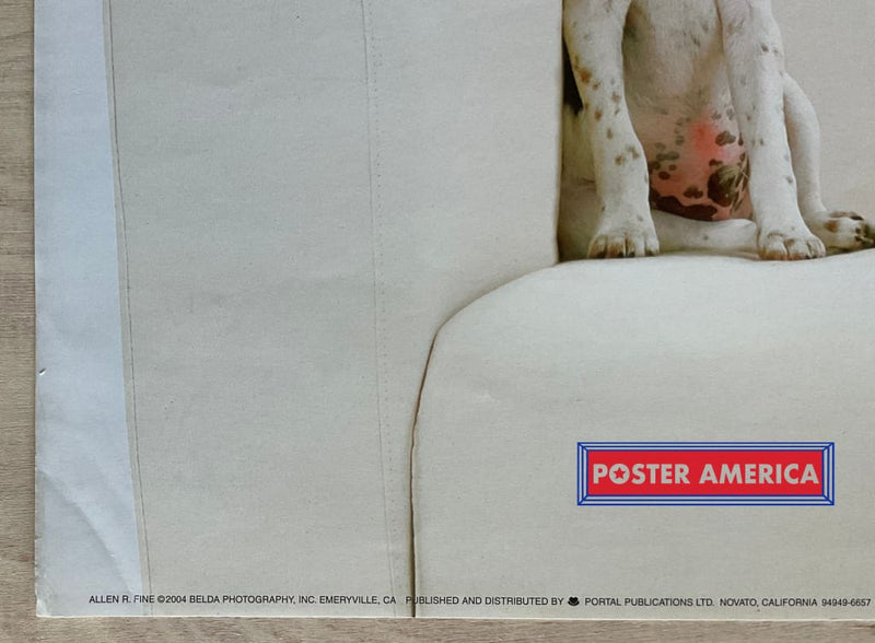 Load image into Gallery viewer, Jack Russell Terriers Vintage Photography Slim Print Poster 12 X 36
