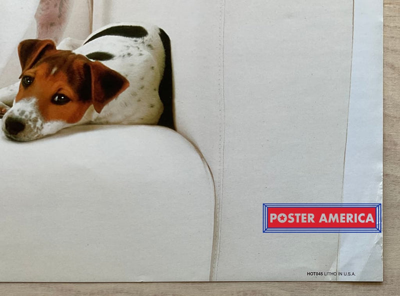 Load image into Gallery viewer, Jack Russell Terriers Vintage Photography Slim Print Poster 12 X 36
