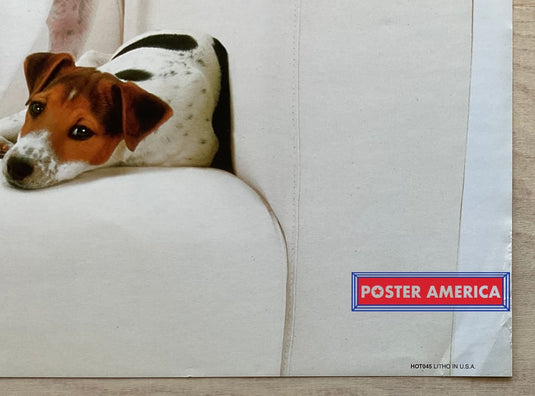 Jack Russell Terriers Vintage Photography Slim Print Poster 12 X 36