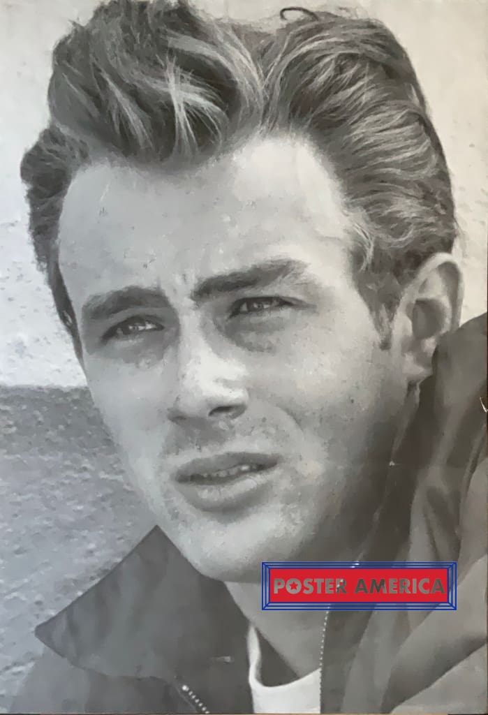 Load image into Gallery viewer, James Dean Close Up Portrait Sepia Vintage Poster 24 X 35
