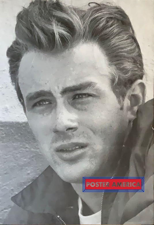 James Dean Close Up Portrait Sepia Vintage Poster 24 X 35