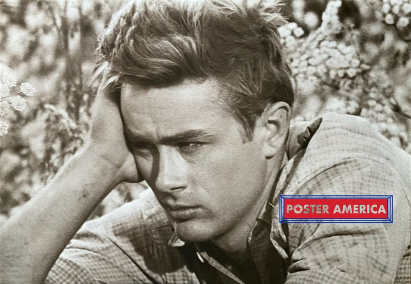 Load image into Gallery viewer, James Dean Day Dreaming Vintage Sepia Poster 24 X 34.5 Vintage Poster
